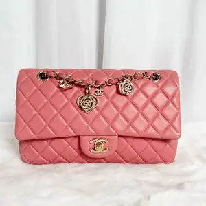 Pre-owned CHANEL Classic Flap (CF) Medium Pink Chain Bag |20907353 WWL