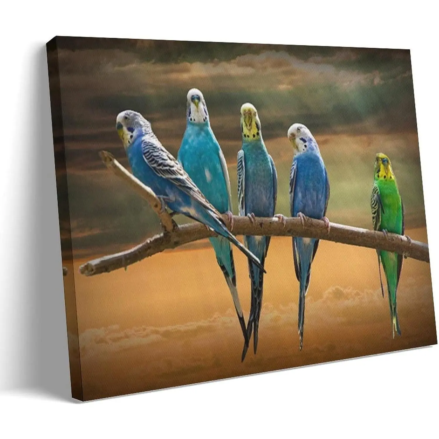 Parakeet Exotic Bird Perched on Tree Branch Nature Landscape still Life Aesthetic Poster Wall Art Paintings Canvas Wall Decor Home Decor Living Room Decor Aesthetic