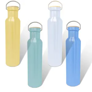 Engel 25oz Stainless Steel Vacuum Insulated Water Bottles - Color Collection Drinkware Flasks