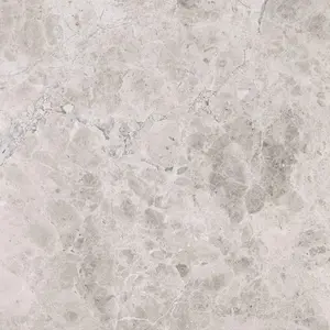 Tundra Gray Marble 18x18 Field Tile Polished & Honed Sample