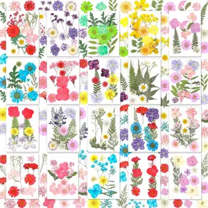 200 Pcs Dried Pressed Flowers for Crafts, 20 Sheets Real Dry Florals Leaves Bulk with Tweezer for Resin Molds Candle Soap Making Scrapbook Bookmarks Nail Art Decor Supplies Kit
