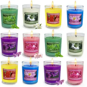 12 Pack Strong Scented Votive Candles Gift Set with 6 Fragrances for Home and Women Aromatherapy Soy Wax Glass Jar Candle Jasmine Butterfly Ginger Lotus Green Tea Cherry Blossom Lilac
