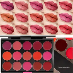 15 Colors Lipstick Palette,Pro Lip gloss Lip Palette,Halloween Makeup Matte Red Lipstick for Women,labiales mate 24 horas originales matte larga duracion 24 Lip Stain Long Lasting Waterproof