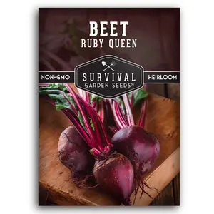 Ruby Queen Beet Seeds - High-Quality Seeds for Your Garden