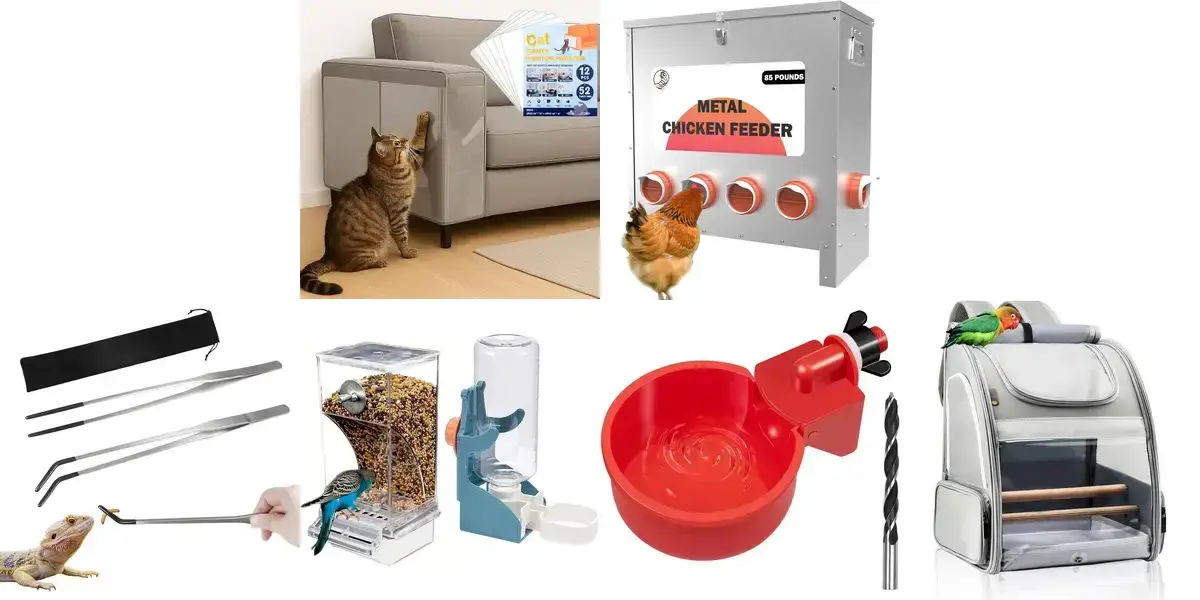 background preload poster image 