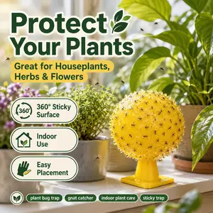 2pcs Sticky Insect Trap Ball / Fruit Fly Trap / Gnat Trap / Yellow Sticky Bug Catcher / Plant Pest Control Trap，fruit fly trap、fungus gnat trap、yellow sticky trap、sticky bug trap、indoor outdoor、plant pest control、waterproof、long-lasting adhesive、non-toxic