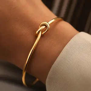 Titanium Steel Couple's Knotted Bracelet Light Luxurious Exquisite Compact Bracelet Niche Design Simple Bracelet Versatile Men's and Women's Bracelet