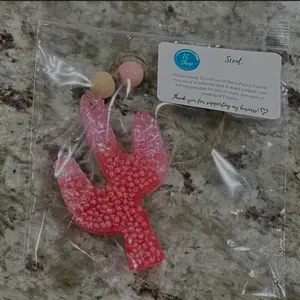 Pink Ombre Cactus Car Freshie