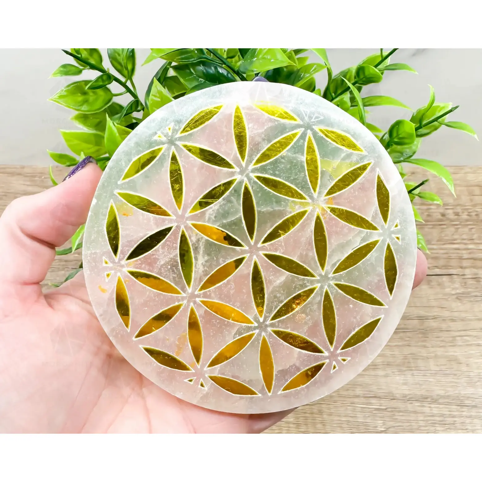 4-Inch Gold Flower of Life Selenite Plate – Hand-Carved Crystal Charging Disc for Energy Cleansing