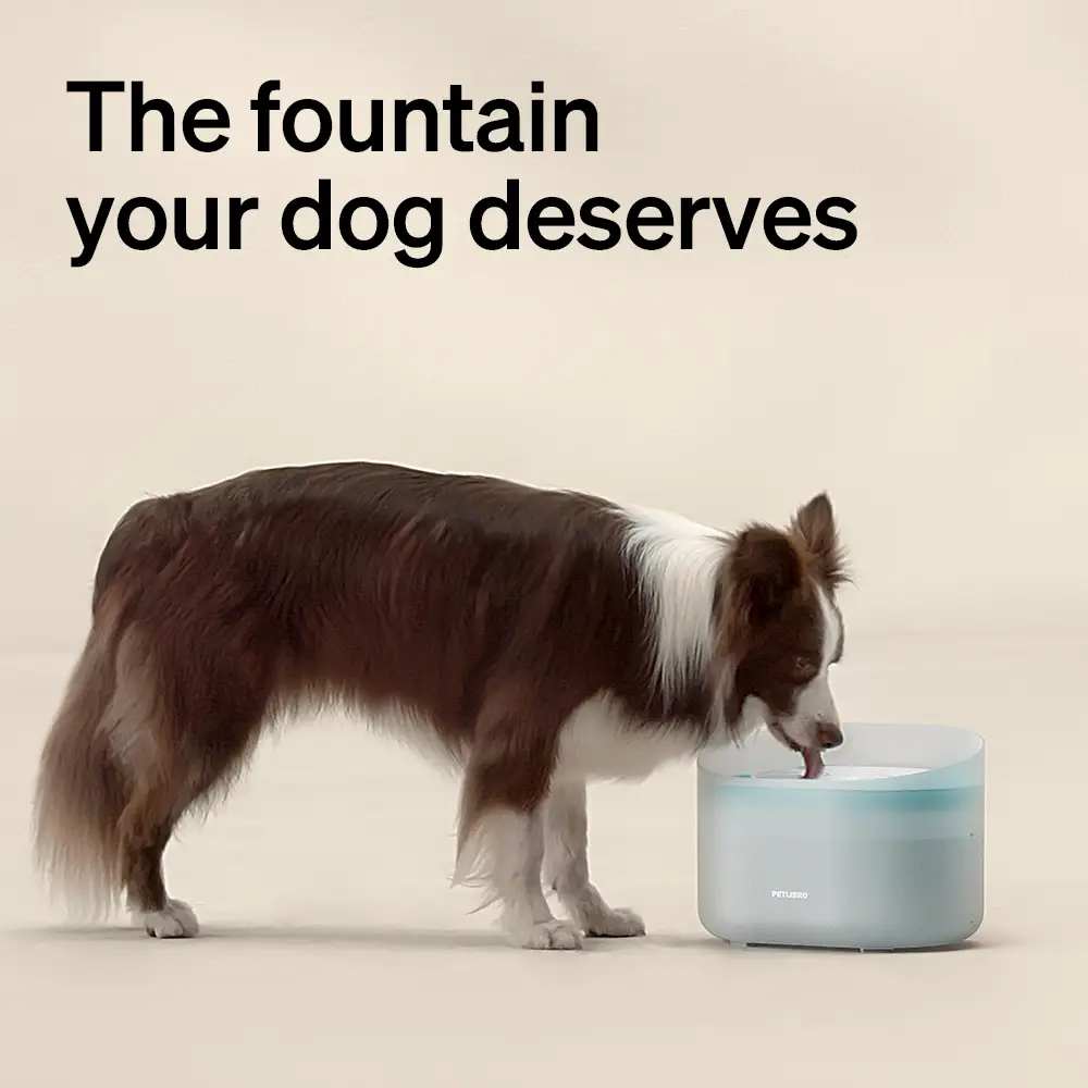 PETLIBRO Dog Water Fountain: 2.1Gal automatic dispenser for medium to large dogs, anti-splash design, ultra-quiet, and easy to clean