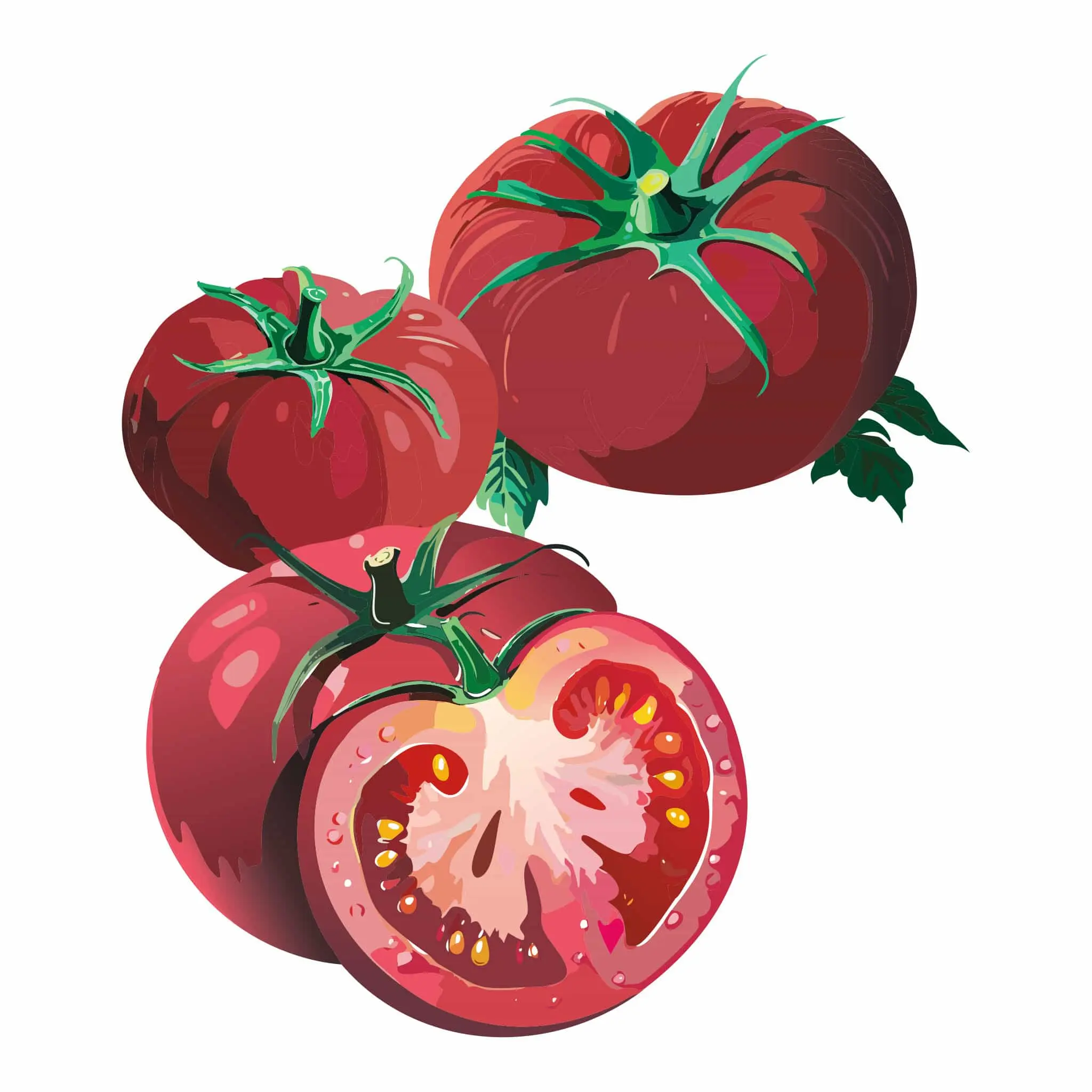 Brandywine Pink Pole Tomato