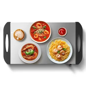 Stainless Steel Electric Warming Tray - Portable Home Appliance Hot Plate, Buffet Warmers Sets, Adjustable Temperature Control, Heat Resistant for Buffet, Parties