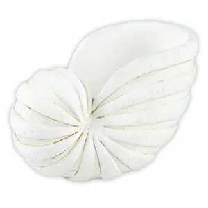 Nautilus Decor