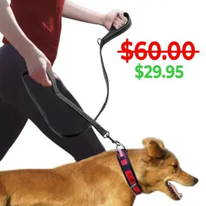Heavy Duty Leash - 2 Handle heavy duty dog leash in red and tan