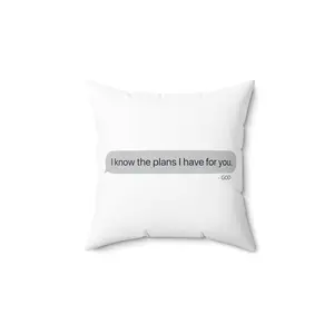 I Know The Plans - Pillow