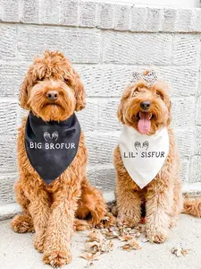 Custom Big Brofur Lil' Sisfur Dog Bandana