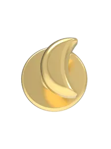 Moon Charm