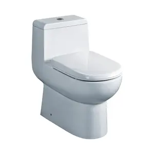 Eago TB 351 Elongated One Piece Dual Flush Toilet With Soft Closing Seat White Modern