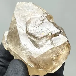 Rare Natural Alligator Citrine Specimen - Elestial Citrine & Smoky Quartz