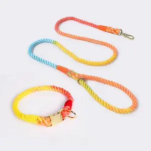 Rainbow Cotton Braid Dog Leash and Collar