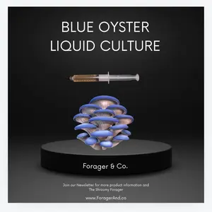Forager & Co. Blue Oyster Mushroom Liquid Culture- (Pleurotus ostreatus columinus) growkit home planting