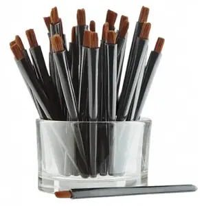 Artistry Disposable Applicators – Lip Color Brushes