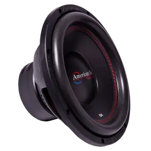 DX 12″  Car Subwoofer | 300 Watts RMS | Single Voice Coil 4 Ohm