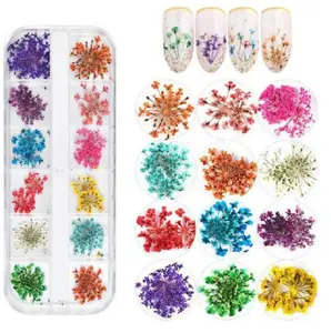 TIKA 12-Color Real Dried Flower Nail Art Set for 3D DIY Manicure Decoration
