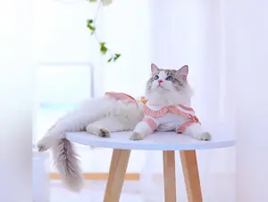 Summer Spring Cat Dress