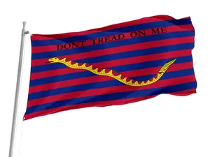 South Carolina Navy Flag: Unique Design, 3x5 Ft, Indoor/Outdoor