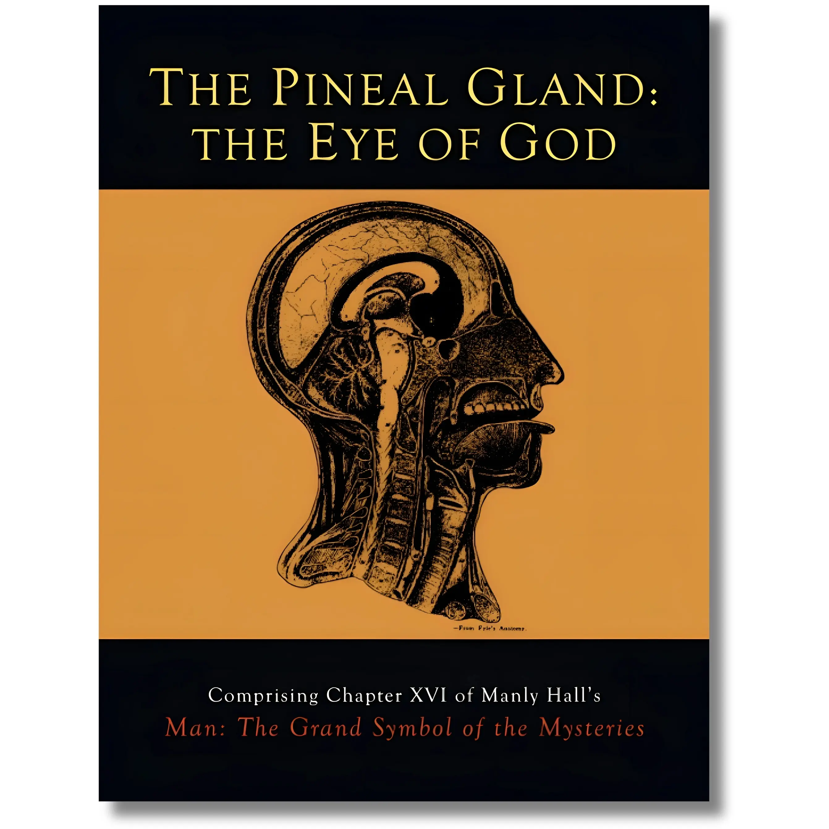 The Pineal Gland: The Eye of God Paperback - Exploring Pituitary, Aura, Hypothalamus, Max Heindel’s Clairvoyance, Psychic Powers, Energy Center, Chakra, Third Eye (Career & Self-Help, Humanities & Social Sciences Book)
