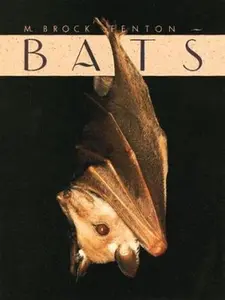 USED-Bats by M. Brock Fenton (Hardcover)