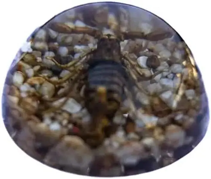 Golden Brown Scorpion Paperweight