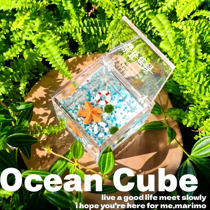 Cute Cube Terrarium with Marino Moss Ball: Complete Mini Garden Kit, Low Maintenance Closed Ecosystem, Self-Contained Habitat for Mindfulness & Desk Decor, Soothing Micro Landscape(Includes LIVELY Moss Ball Pet)