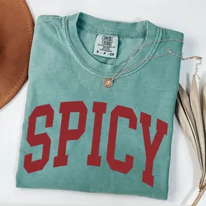 Comfort Colors Spicy Shirt, Varsity Sweatshirt, Funny Shirt, Gifted For Her, Sarcastic Sassy Shirt, Comfort Colors Shirt