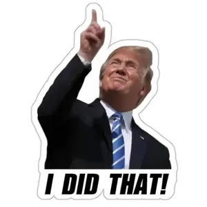 100PCS “I Did That” Anti-Trump Sticker Pack – Vinyl Meme Stickers, Water-Resistant Political Humor, Laptop, Water Bottle, Car, and Notebook Decals, Party & Gift Favor