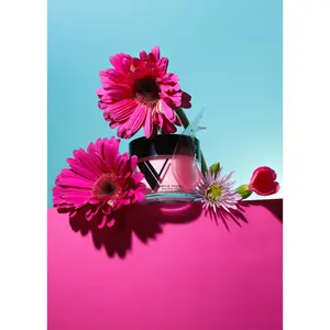 Acrylic System - Poster Girl