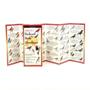 Sibley's Backyard Birds of the Southeast -- David Allen Sibley, Poster