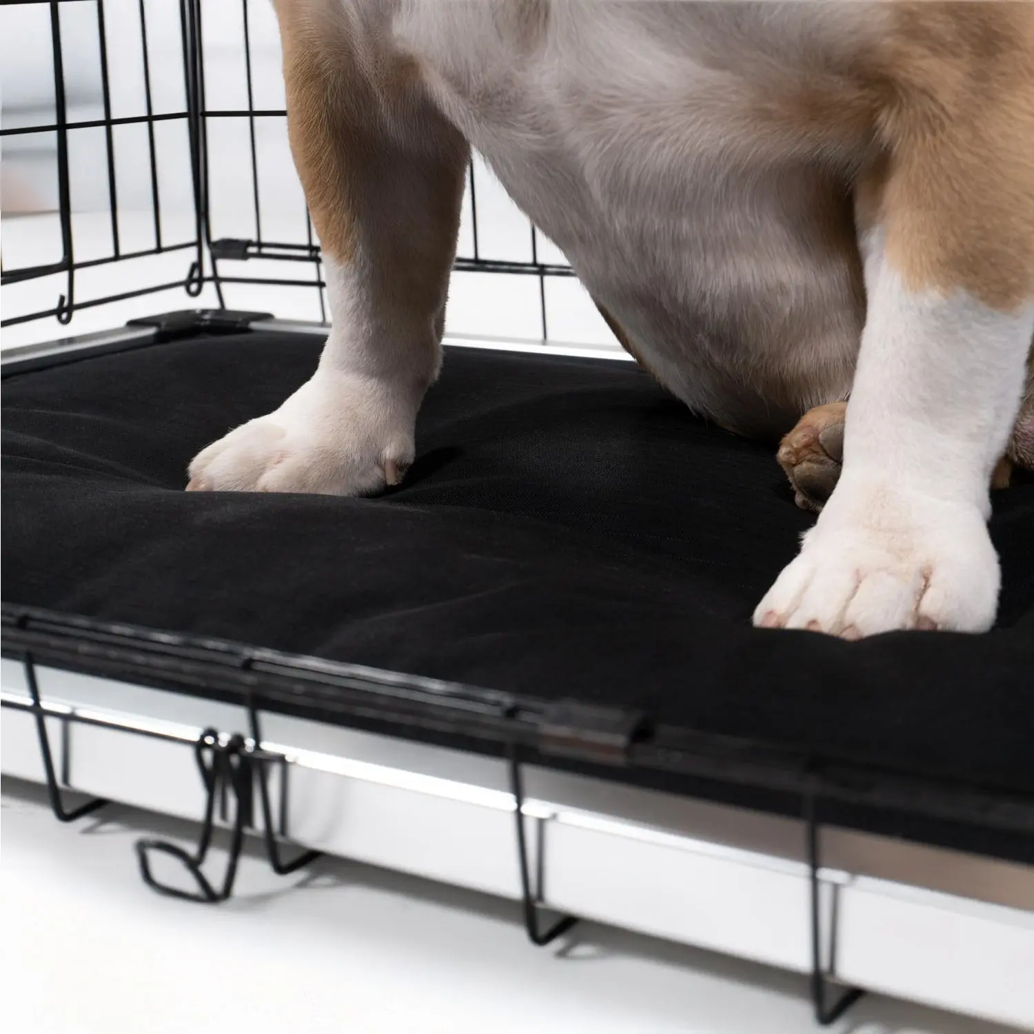 Chew Proof Armored™ Replacement Pad