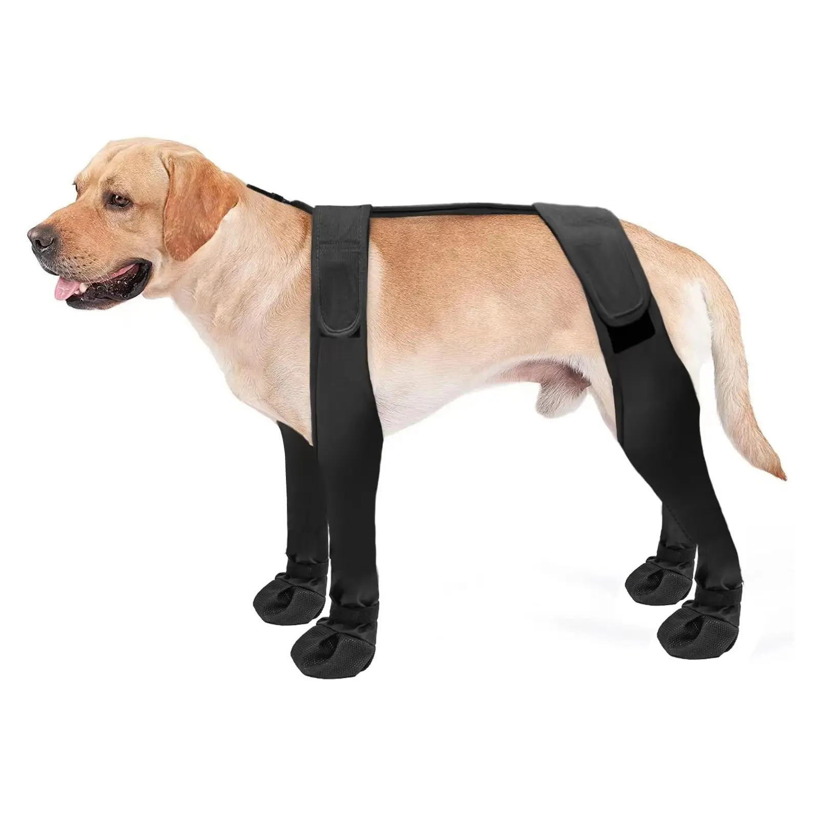 Outdoor Dog Boots (S,M Sizes) - Waterproof, Anti-Slip Paw Protectors, Dirt-Resistant, All-Season Everyday Paw Guards