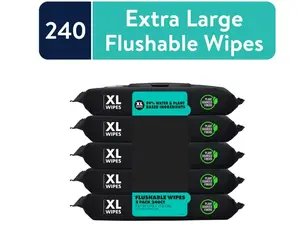 Extra Large Mint Chill Wet Wipes, 48 Count, 5 Pack (240 Total) - Flushable Napkin Toilet Eucalyptus