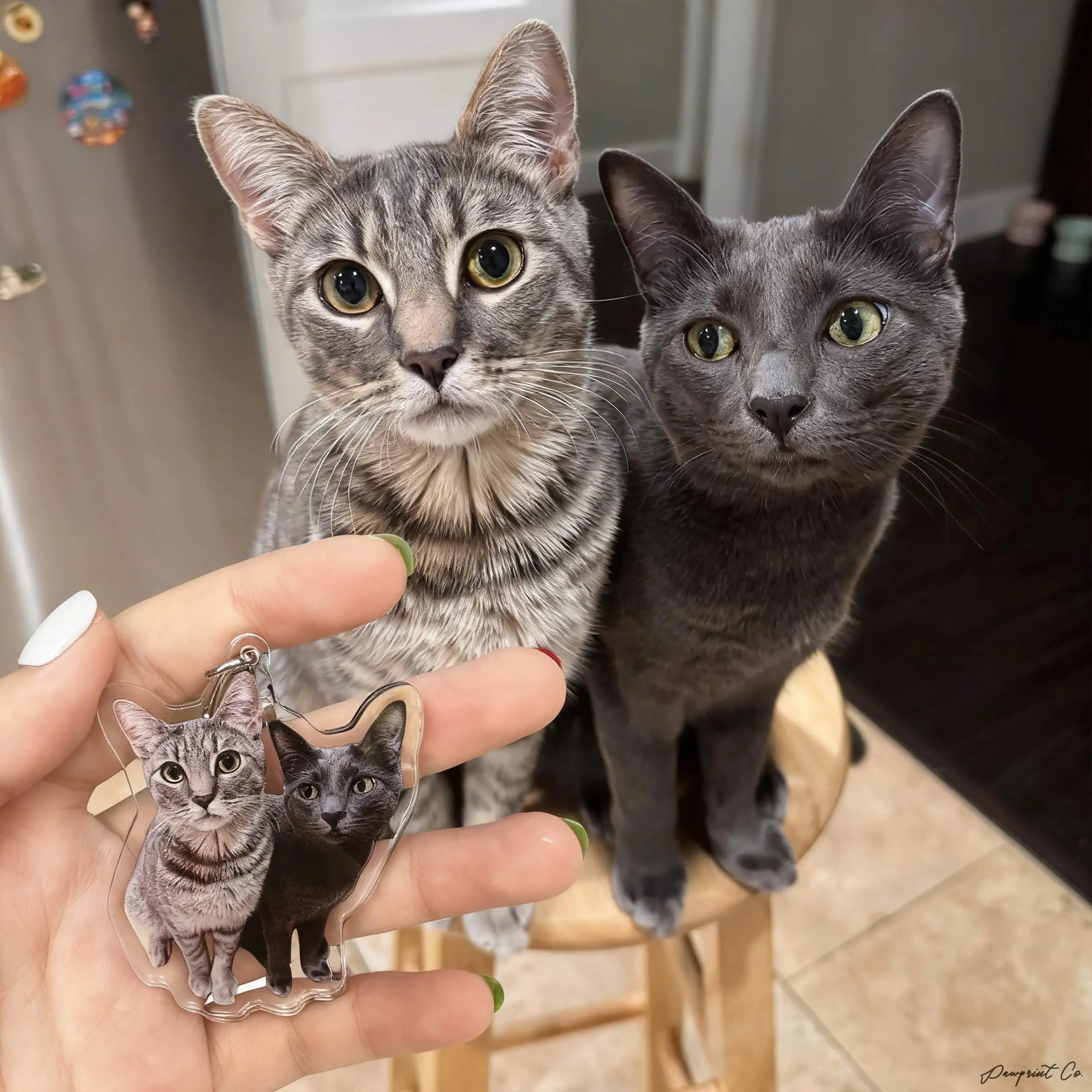 Personalized Dog Keychain, Custom Tabby Cat Keychain, Unique Cat Mom Gift, Custom Pet Photo Keychain, Christmas Gift For Cat Lovers