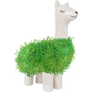 Llama Ceramic Planter - Desktop Sprouting Chia Pet Plant Pot - Gift Republic