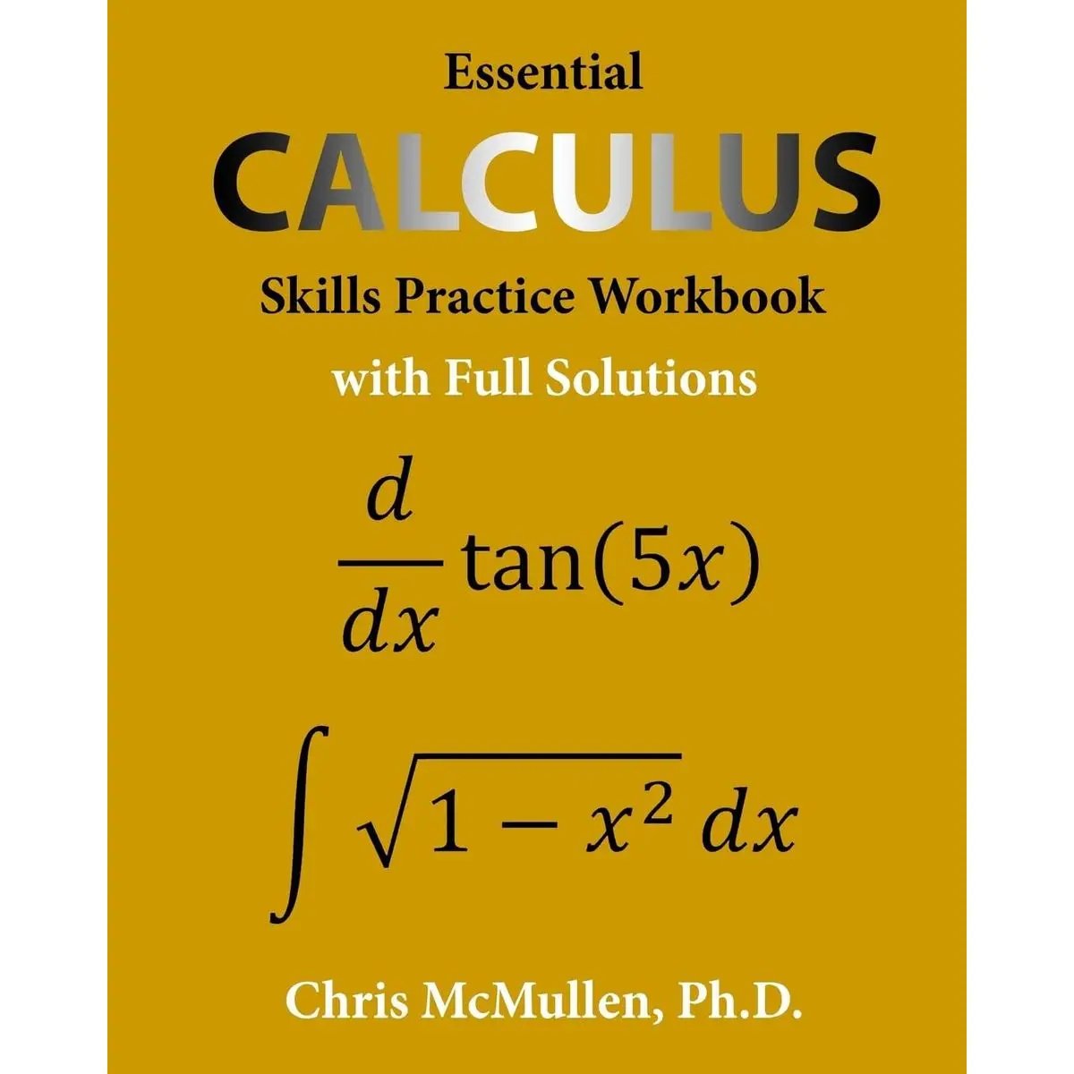 Essential Calculus Skills Practice Workbook with Full Solutions