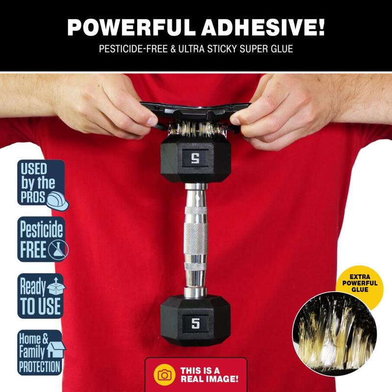 Catchmaster Mouse & Insect Glue Traps, Adhesive Rodent & Bug Catcher, Pre-Scented Mouse Traps Indoor for Home, Sticky Glue Boards for Mice and Insects, Pet Safe Pest Control for House & Garage