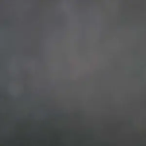 review image 7