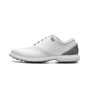 Air Jordan ADG 4 GOLF "WHITE PURE PLATINUM" DM0103 105