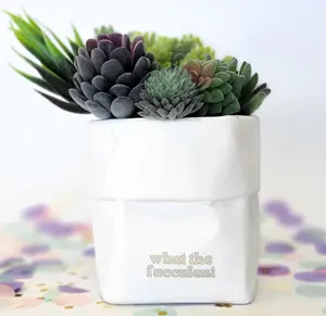 What The Fucculent Planter Pot