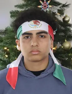 Mexico Head Strap Headband | Flag Fan w/ Ties | Soccer Game Day Accessory | Sports Fan Gear