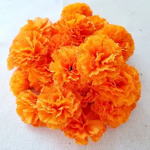 Marigold Flowers Heads Bulk, Silk Artificial Flowers for Diwali,Indian Festival, DIY Marigold Garland Day of The Dead Decorations (Orange)